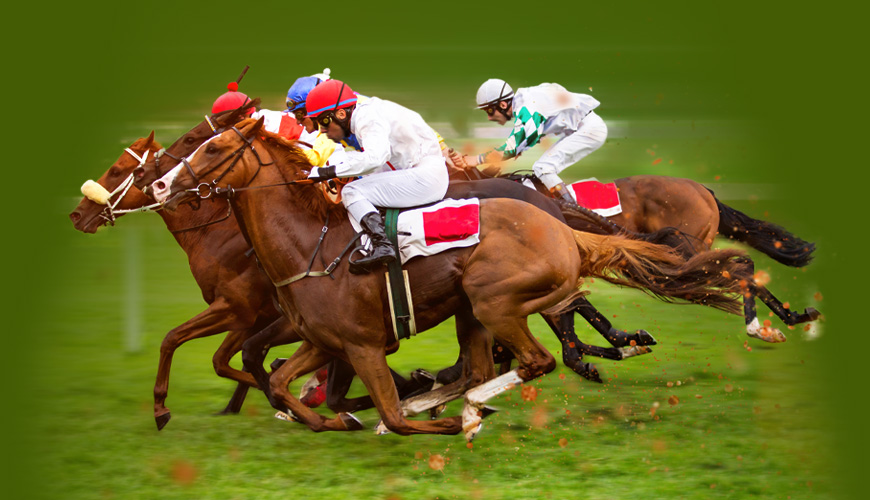 Betpro Betting in Horse Racing