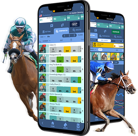 Betpro Betting in Horse Racing